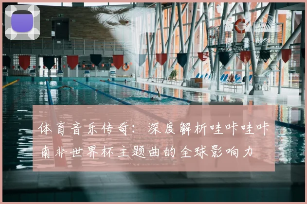 体育音乐传奇：深度解析哇咔哇咔南非世界杯主题曲的全球影响力